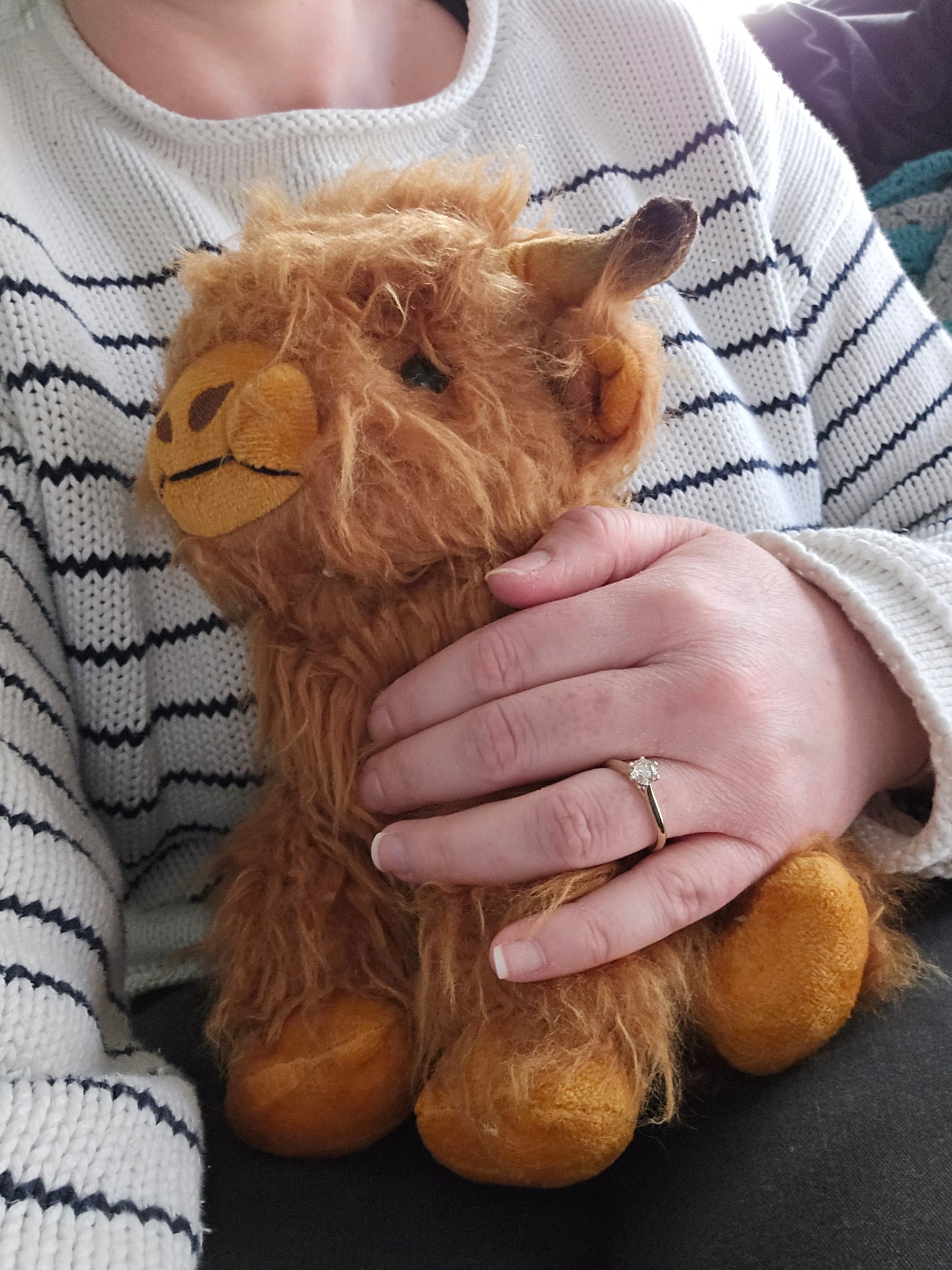 Highland Cow Soft Toy – Limited Edition